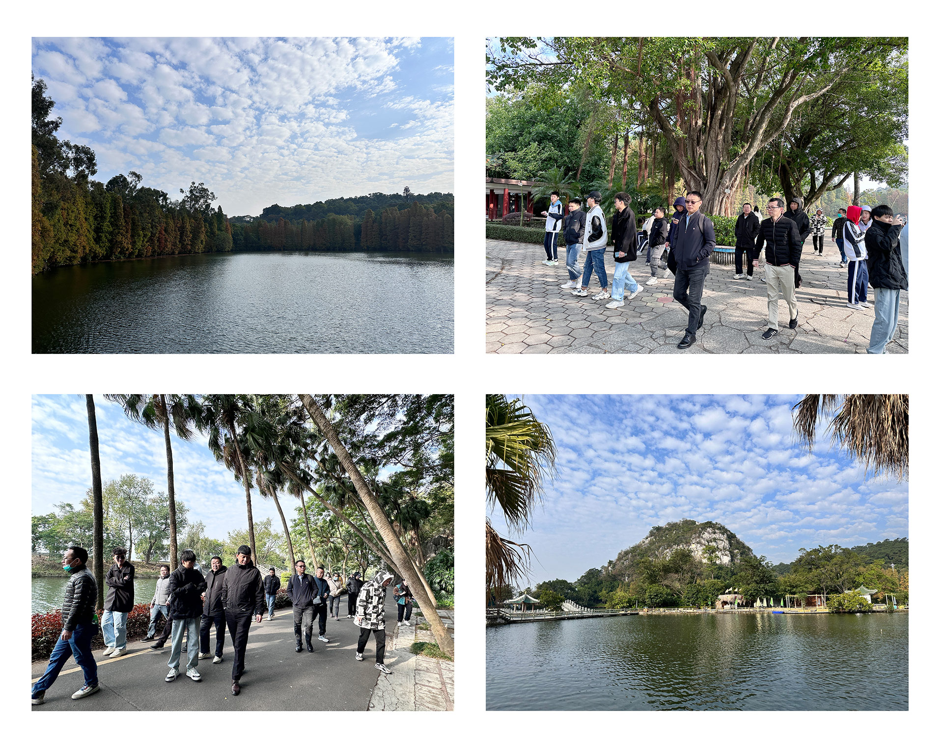 【团建日记 | v88体育肇庆七星岩团建活动】(图2)